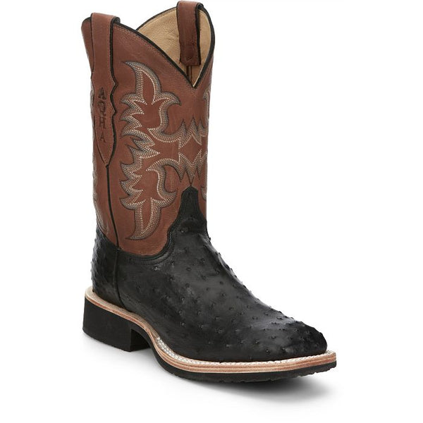 AQHA Drover Black Full Quill Ostrich
