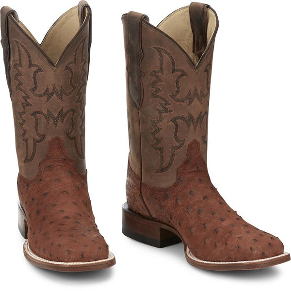 AQHA Belmont Wild Brandy Full Quill