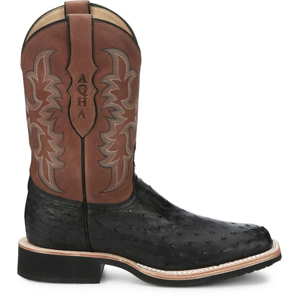 AQHA Drover Black Full Quill Ostrich