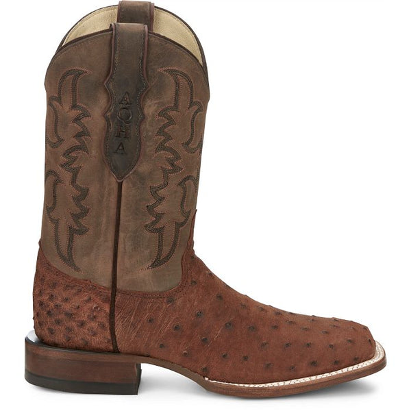 AQHA Belmont Wild Brandy Full Quill