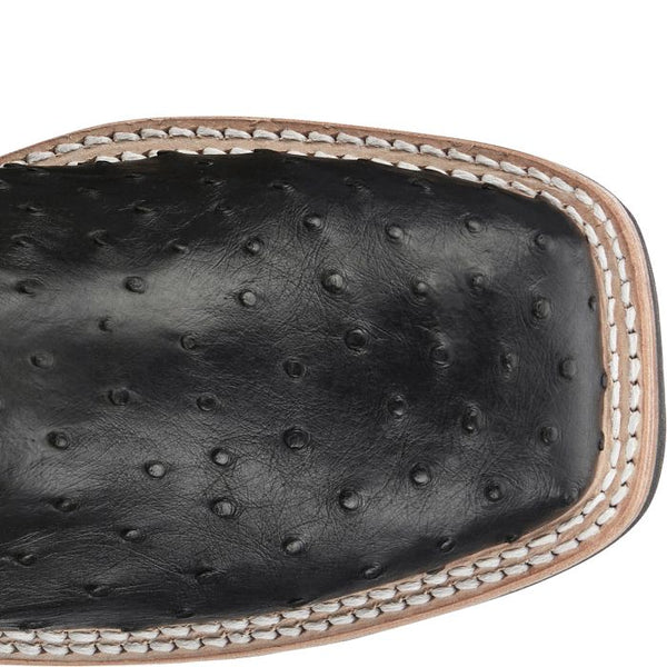 AQHA Drover Black Full Quill Ostrich