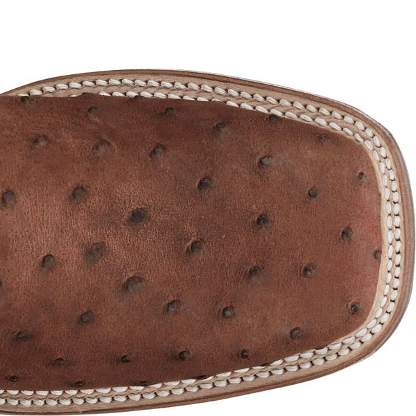 AQHA Belmont Wild Brandy Full Quill
