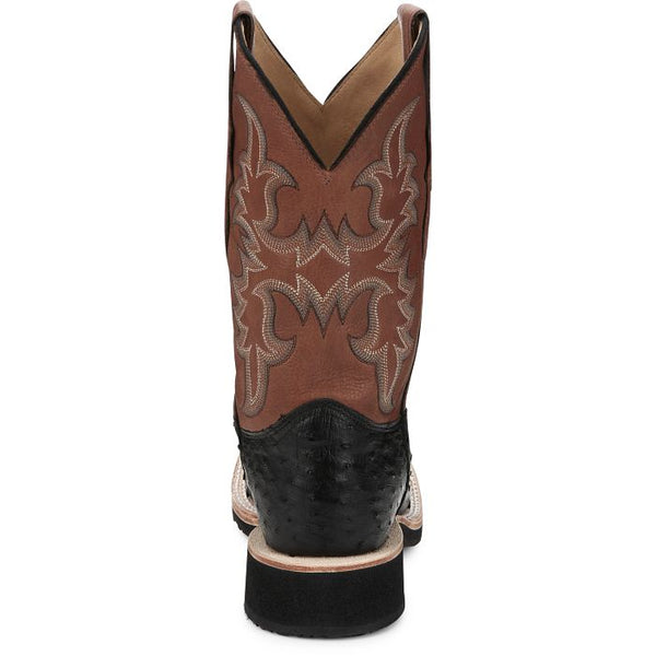 AQHA Drover Black Full Quill Ostrich