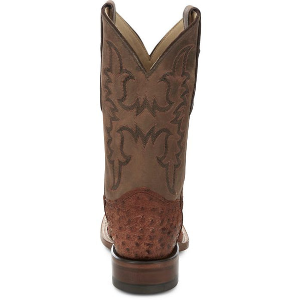 AQHA Belmont Wild Brandy Full Quill