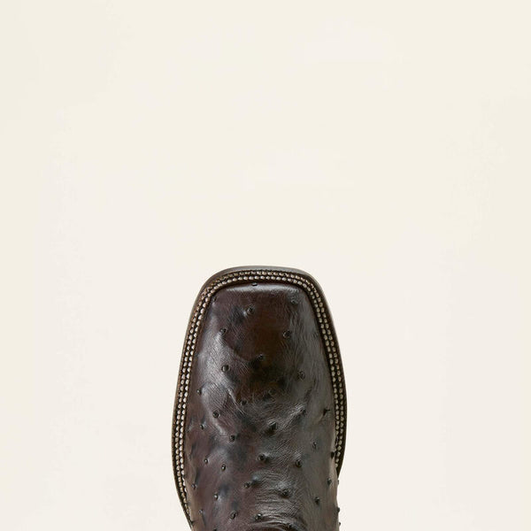 Cigar Brown FQ Ostrich